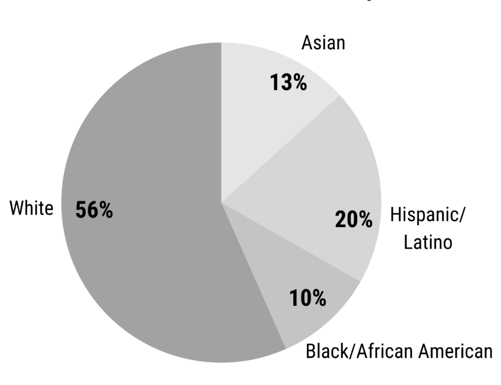 Pie chart shows break down of EGPD staff 56% white, 10% Black, 20% Hispanic/Latino, 13% Asian